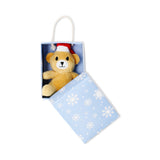 Kutuda Mini Peluş Oyuncak Ayıcık