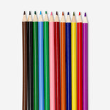 Ayıcık Deseni Kutulu 12'li Kuru Boya Kalem Seti