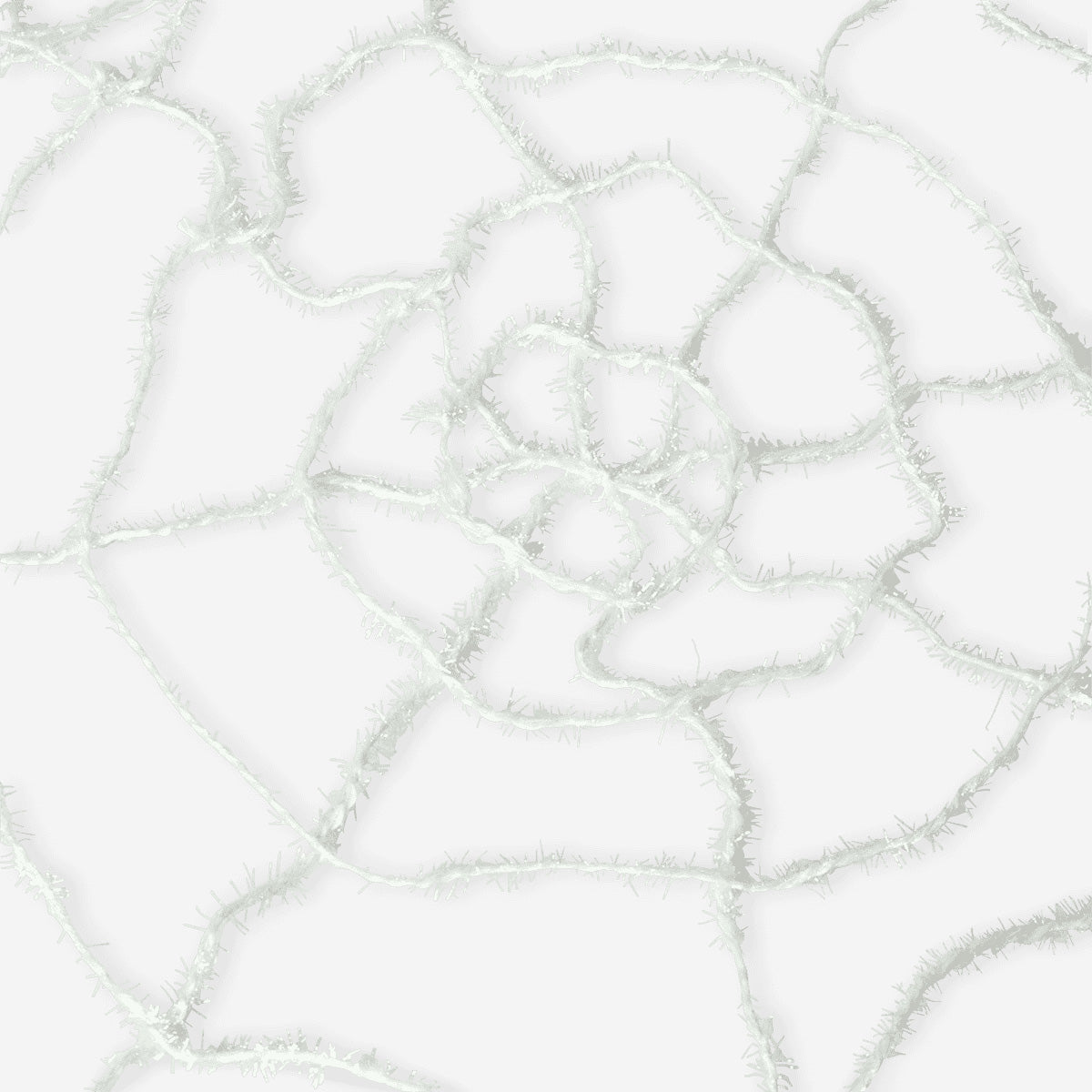 SPIDER WEB GIANT GLOW IN THE DARK