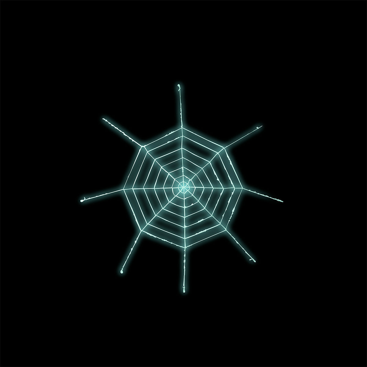 SPIDER WEB GIANT GLOW IN THE DARK