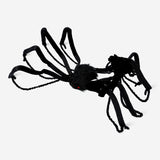 SPIDER WITH LONG LEGS