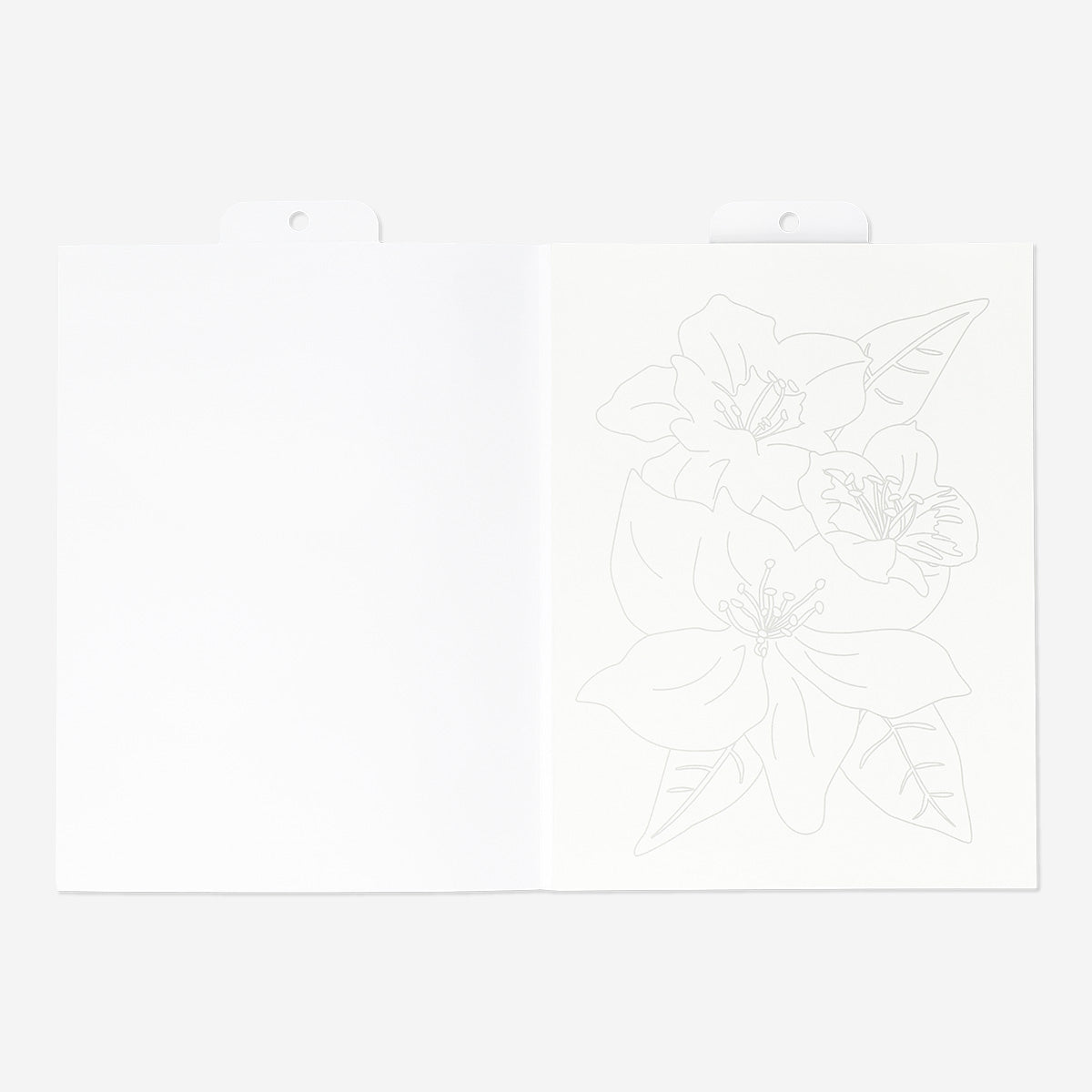 WATERCOLOURING BOOK FALL