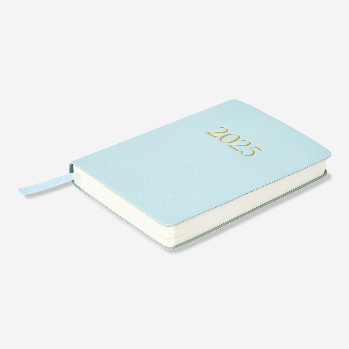 CALENDAR 2025 A6 DAY PU EN