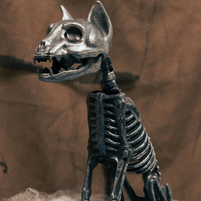 SKELETON CAT