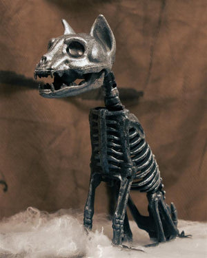 Gümüş Kedi İskeleti