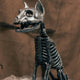 SKELETON CAT