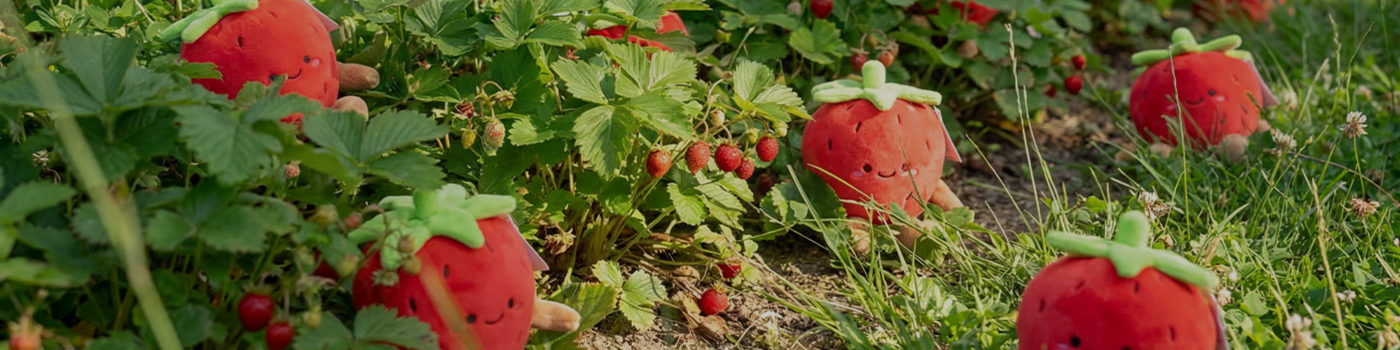 Banner görseli
